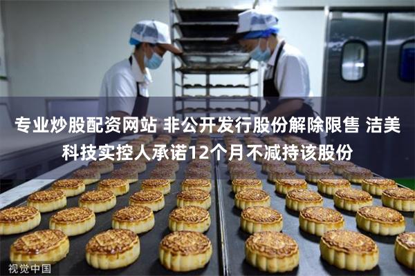 专业炒股配资网站 非公开发行股份解除限售 洁美科技实控人承诺12个月不减持该股份