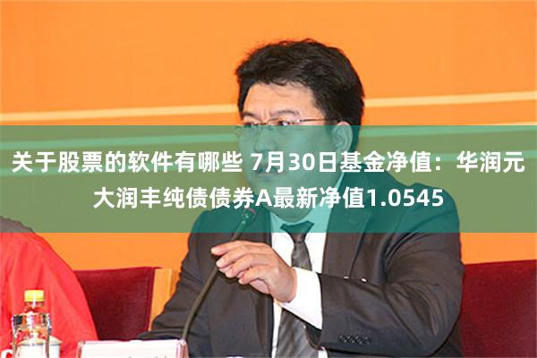 关于股票的软件有哪些 7月30日基金净值：华润元大润丰纯债债券A最新净值1.0545