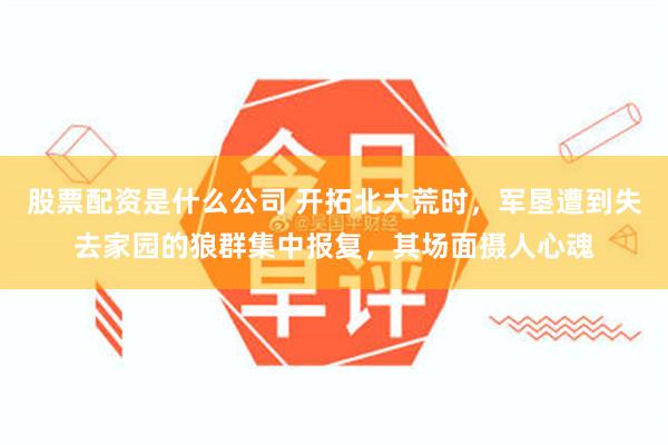 股票配资是什么公司 开拓北大荒时，军垦遭到失去家园的狼群集中报复，其场面摄人心魂