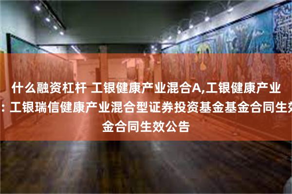 什么融资杠杆 工银健康产业混合A,工银健康产业混合C: 工银瑞信健康产业混合型证券投资基金基金合同生效公告