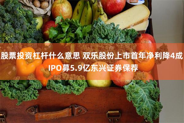 股票投资杠杆什么意思 双乐股份上市首年净利降4成 IPO募5.9亿东兴证券保荐