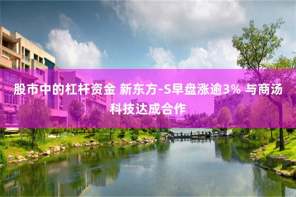 股市中的杠杆资金 新东方-S早盘涨逾3% 与商汤科技达成合作