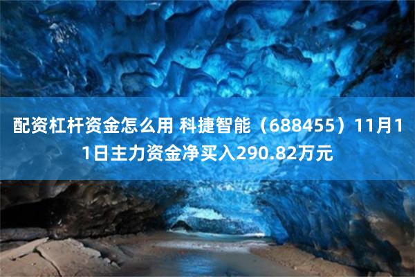 配资杠杆资金怎么用 科捷智能（688455）11月11日主力资金净买入290.82万元