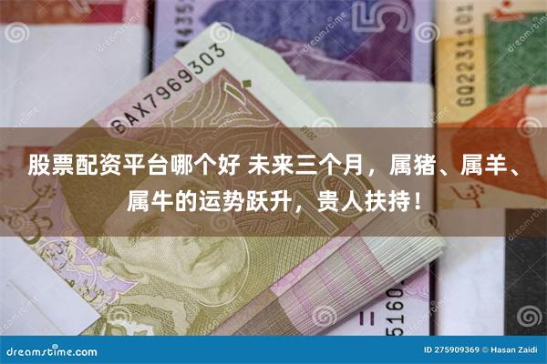 股票配资平台哪个好 未来三个月，属猪、属羊、属牛的运势跃升，贵人扶持！