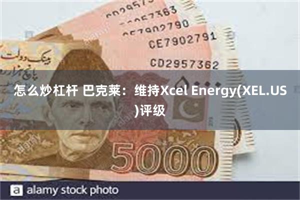 怎么炒杠杆 巴克莱：维持Xcel Energy(XEL.US)评级