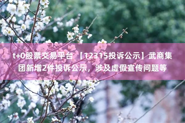 t+0股票交易平台 【12315投诉公示】武商集团新增2件投诉公示，涉及虚假宣传问题等