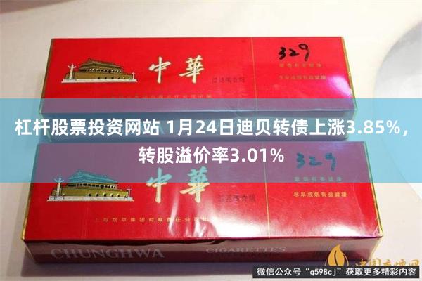 杠杆股票投资网站 1月24日迪贝转债上涨3.85%，转股溢价率3.01%