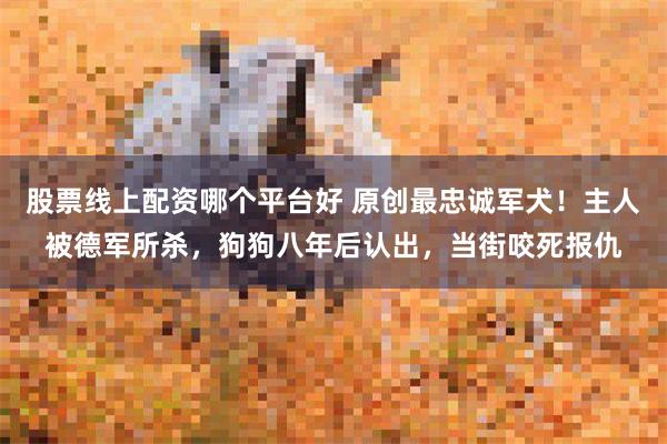 股票线上配资哪个平台好 原创最忠诚军犬！主人被德军所杀，狗狗八年后认出，当街咬死报仇