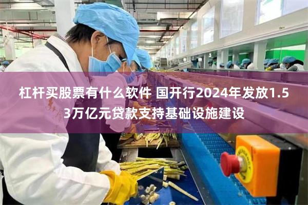 杠杆买股票有什么软件 国开行2024年发放1.53万亿元贷款支持基础设施建设