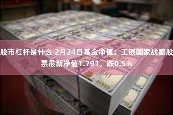 股市杠杆是什么 2月24日基金净值：工银国家战略股票最新净值1.791，跌0.5%