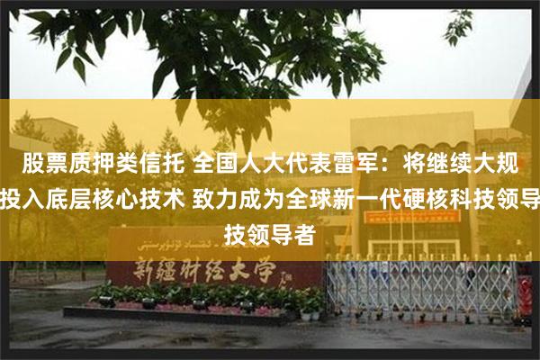 股票质押类信托 全国人大代表雷军：将继续大规模投入底层核心技术 致力成为全球新一代硬核科技领导者