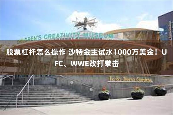 股票杠杆怎么操作 沙特金主试水1000万美金！UFC、WWE改打拳击