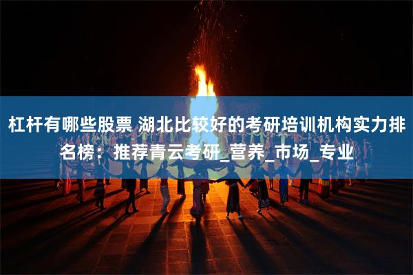 杠杆有哪些股票 湖北比较好的考研培训机构实力排名榜：推荐青云考研_营养_市场_专业